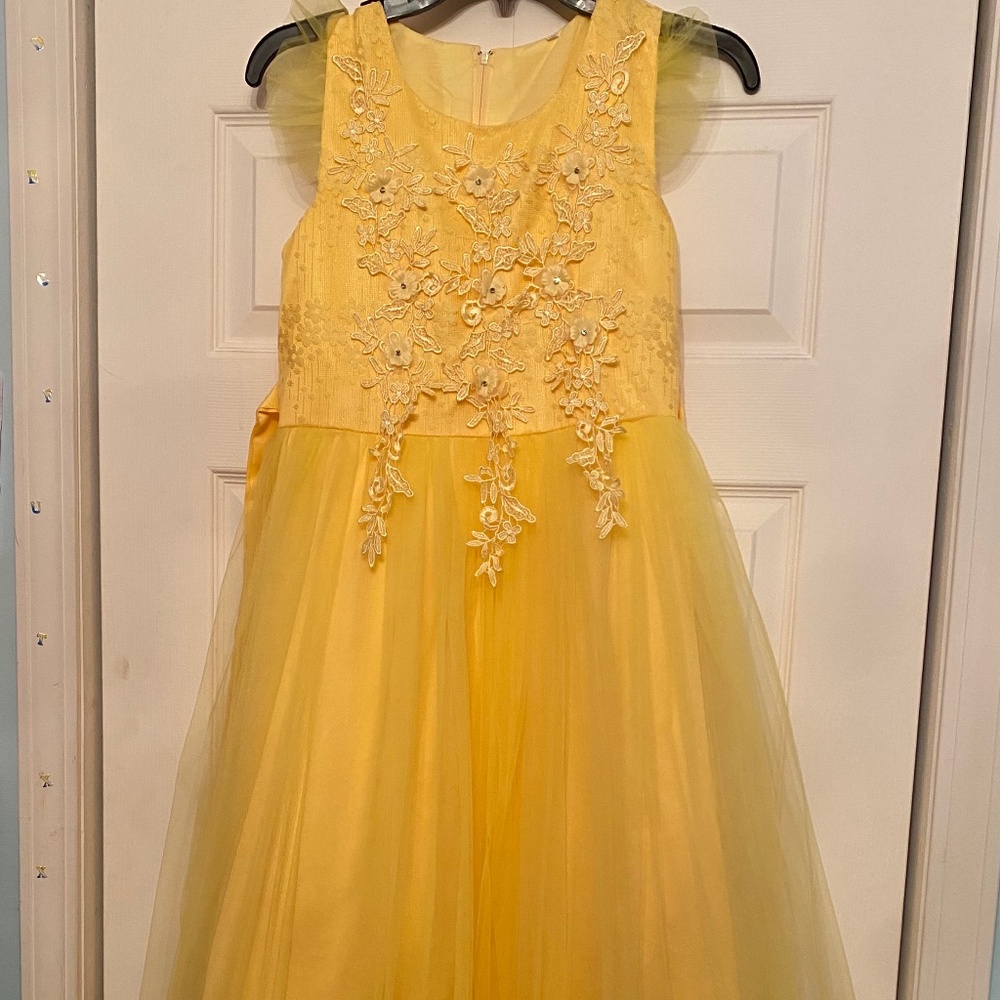 Big Girls BallGown, Party Dress, size 10-12